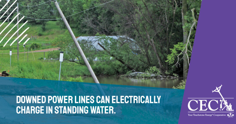 A rural area with downed power lines, standing water, and trees. Text warns about electrical hazards. CEC logo on a purple background to the right.