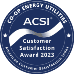 ACSI® 2023 Award