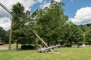 Fallen electric utility pole with tree damage