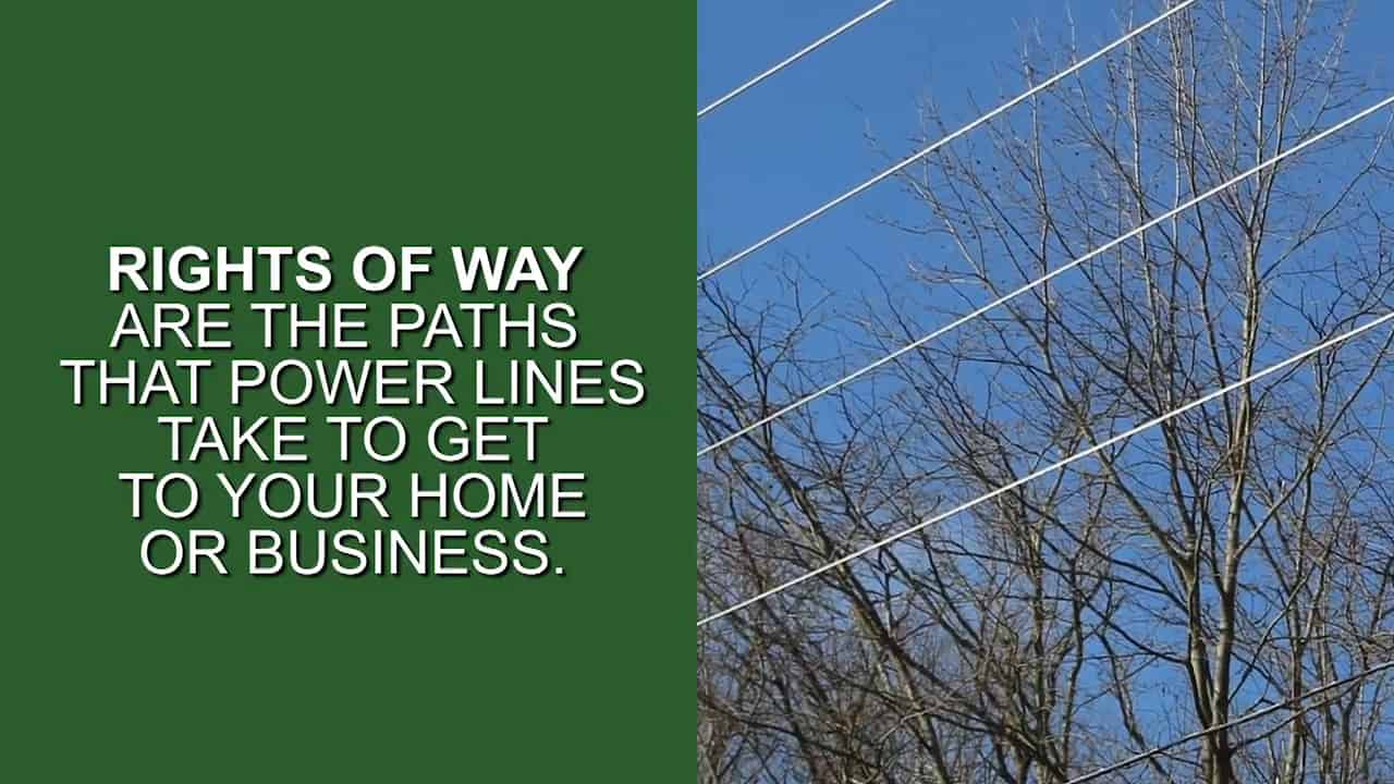 Rights of way are the paths that power lines take to get to your home or business.