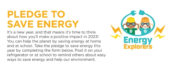 Pledge to save energy logo