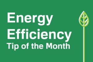 A green background with white text reads "Energy Efficiency Tip of the Month," accompanied by a simple leaf illustration on the right side.